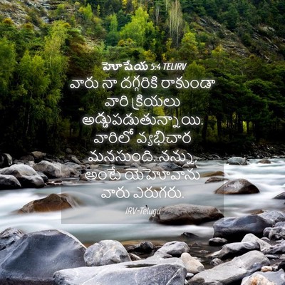 Picture 04 - హోషేయ 5:4 TELIRV - వారు నా దగ్గరికి - Bible Verse Picture