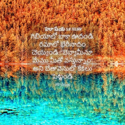 Picture 04 - హోషేయ 5:8 TELIRV - గిబియాలో బాకా - Bible Verse Picture