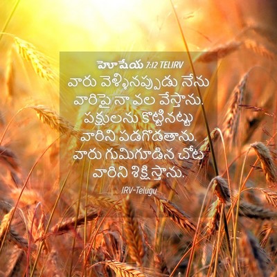Picture 04 - హోషేయ 7:12 TELIRV - వారు - Bible Verse Picture