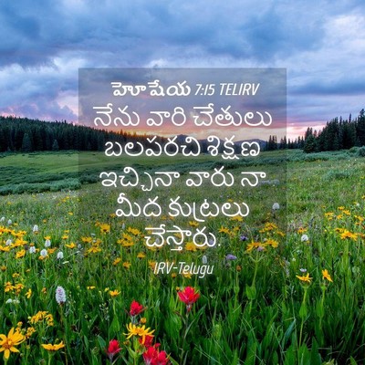 Picture 04 - హోషేయ 7:15 TELIRV - నేను వారి చేతులు - Bible Verse Picture