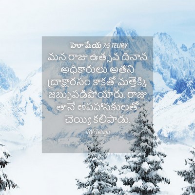Picture 04 - హోషేయ 7:5 TELIRV - మన రాజు ఉత్సవ - Bible Verse Picture