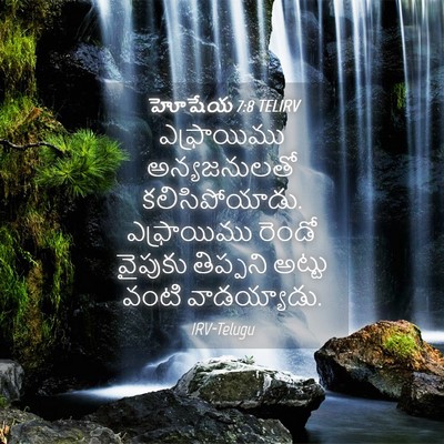 Picture 04 - హోషేయ 7:8 TELIRV - ఎఫ్రాయిము - Bible Verse Picture