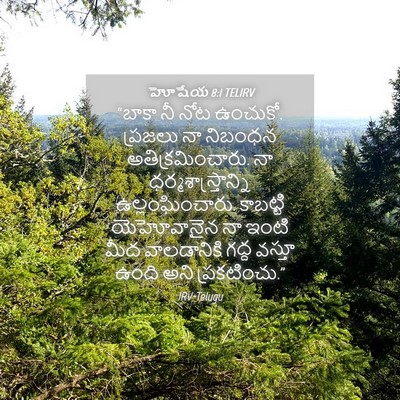 Picture 04 - హోషేయ 8:1 TELIRV - “బాకా నీ నోట - Bible Verse Picture