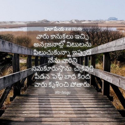 Picture 04 - హోషేయ 8:10 TELIRV - వారు కానుకలు - Bible Verse Picture