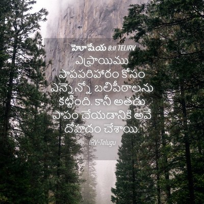 Picture 04 - హోషేయ 8:11 TELIRV - ఎఫ్రాయిము - Bible Verse Picture
