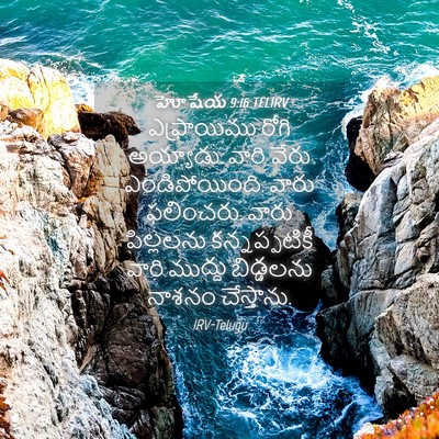 Picture 04 - హోషేయ 9:16 TELIRV - ఎఫ్రాయిము రోగి - Bible Verse Picture