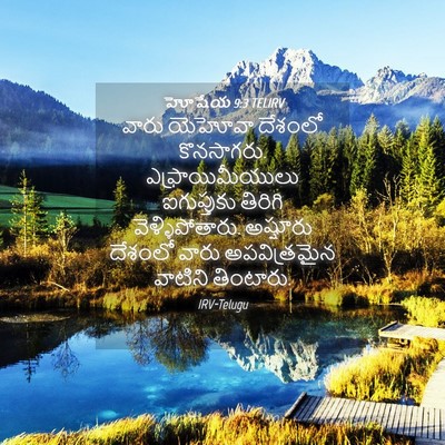 Picture 04 - హోషేయ 9:3 TELIRV - వారు యెహోవా - Bible Verse Picture