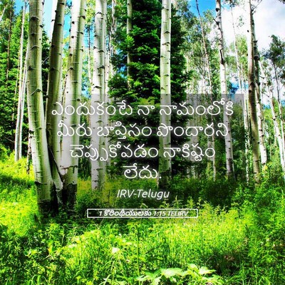 Picture 05 - 1 కొరింథీయులకు 1:15 TELIRV - ఎందుకంటే నా - Bible Verse Picture