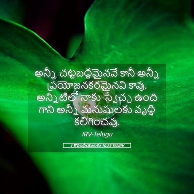 Picture 05 - 1 కొరింథీయులకు 10:23 TELIRV - అన్నీ - Bible Verse Picture