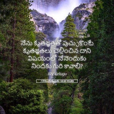 Picture 05 - 1 కొరింథీయులకు 10:30 TELIRV - నేను కృతజ్ఞతతో - Bible Verse Picture