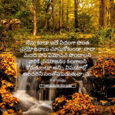 Picture 05 - 1 కొరింథీయులకు 10:33 TELIRV - నేను కూడా ఇదే - Bible Verse Picture