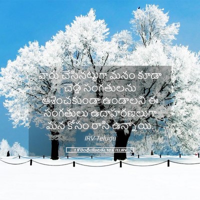 Picture 05 - 1 కొరింథీయులకు 10:6 TELIRV - వారు చేసినట్టుగా - Bible Verse Picture