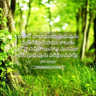 Picture 05 - 1 కొరింథీయులకు 10:9 TELIRV - వారిలో చాలామంది - Bible Verse Picture