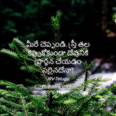 Picture 05 - 1 కొరింథీయులకు 11:13 TELIRV - మీరే చెప్పండి. - Bible Verse Picture