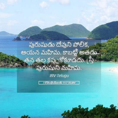 Picture 05 - 1 కొరింథీయులకు 11:7 TELIRV - పురుషుడు దేవుని - Bible Verse Picture