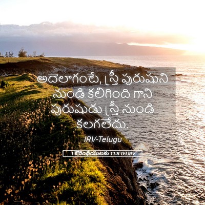 Picture 05 - 1 కొరింథీయులకు 11:8 TELIRV - అదెలాగంటే, స్త్రీ - Bible Verse Picture