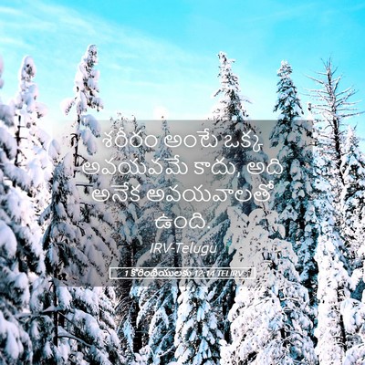 Picture 05 - 1 కొరింథీయులకు 12:14 TELIRV - శరీరం అంటే ఒక్క - Bible Verse Picture