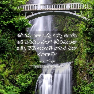 Picture 05 - 1 కొరింథీయులకు 12:17 TELIRV - శరీరమంతా ఒక్క - Bible Verse Picture