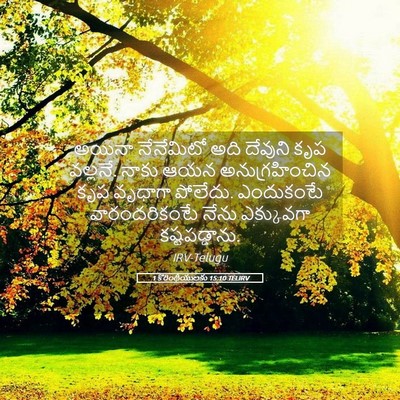 Picture 05 - 1 కొరింథీయులకు 15:10 TELIRV - అయినా నేనేమిటో - Bible Verse Picture