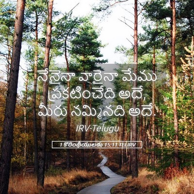Picture 05 - 1 కొరింథీయులకు 15:11 TELIRV - నేనైనా వారైనా - Bible Verse Picture