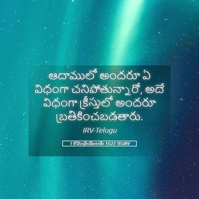 Picture 05 - 1 కొరింథీయులకు 15:22 TELIRV - ఆదాములో అందరూ ఏ - Bible Verse Picture