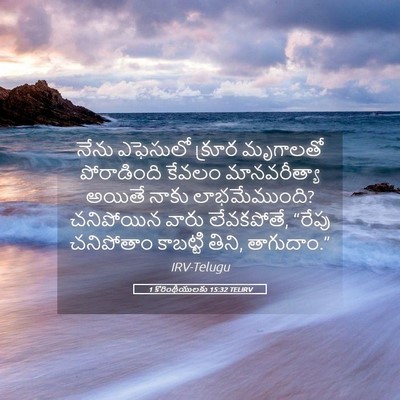 Picture 05 - 1 కొరింథీయులకు 15:32 TELIRV - నేను ఎఫెసులో - Bible Verse Picture