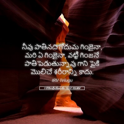 Picture 05 - 1 కొరింథీయులకు 15:37 TELIRV - నీవు పాతినది - Bible Verse Picture