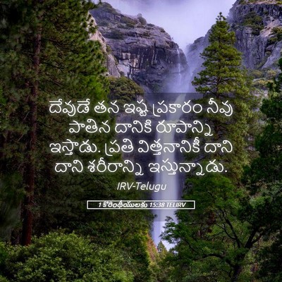 Picture 05 - 1 కొరింథీయులకు 15:38 TELIRV - దేవుడే తన ఇష్ట - Bible Verse Picture