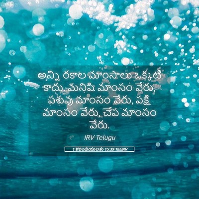 Picture 05 - 1 కొరింథీయులకు 15:39 TELIRV - అన్ని రకాల - Bible Verse Picture