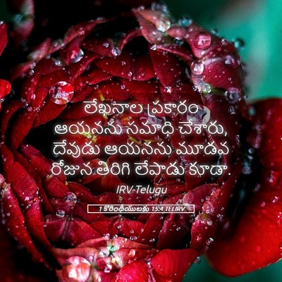 Picture 05 - 1 కొరింథీయులకు 15:4 TELIRV - లేఖనాల ప్రకారం - Bible Verse Picture