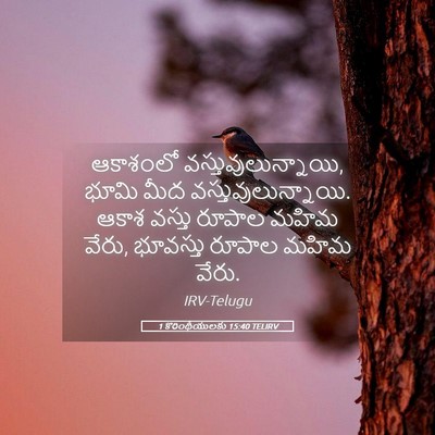Picture 05 - 1 కొరింథీయులకు 15:40 TELIRV - ఆకాశంలో - Bible Verse Picture