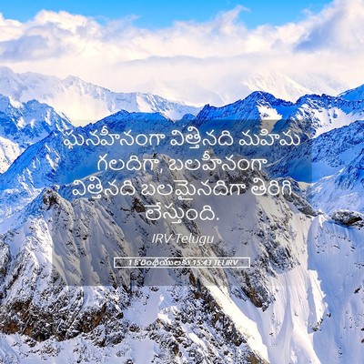 Picture 05 - 1 కొరింథీయులకు 15:43 TELIRV - ఘనహీనంగా - Bible Verse Picture