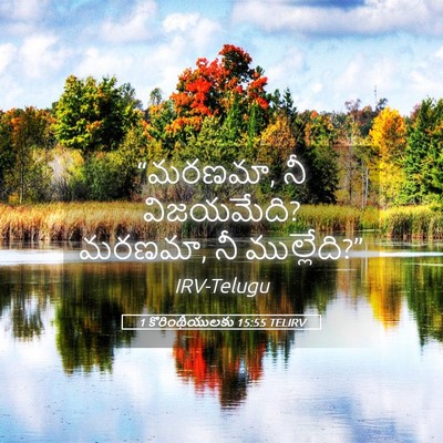 Picture 05 - 1 కొరింథీయులకు 15:55 TELIRV - “మరణమా, నీ - Bible Verse Picture