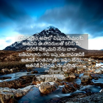 Picture 05 - 1 కొరింథీయులకు 16:12 TELIRV - సోదరుడైన అపొల్లో - Bible Verse Picture