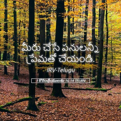 Picture 05 - 1 కొరింథీయులకు 16:14 TELIRV - మీరు చేసే - Bible Verse Picture