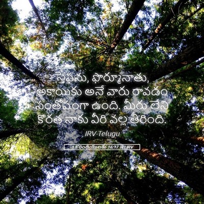 Picture 05 - 1 కొరింథీయులకు 16:17 TELIRV - స్తెఫను, - Bible Verse Picture