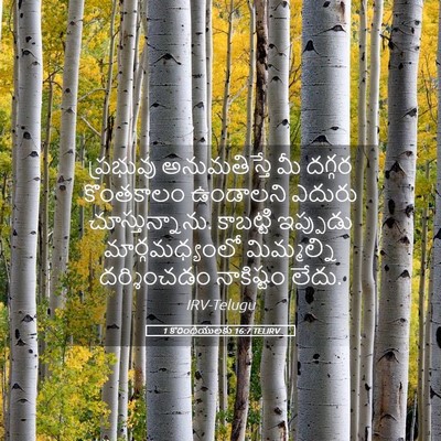 Picture 05 - 1 కొరింథీయులకు 16:7 TELIRV - ప్రభువు - Bible Verse Picture