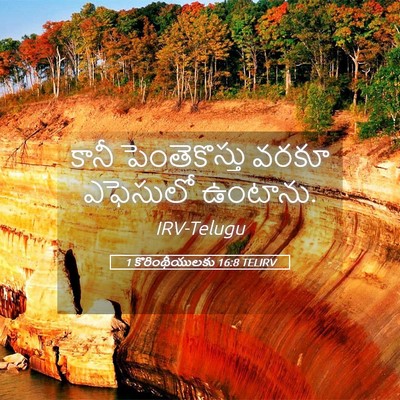 Picture 05 - 1 కొరింథీయులకు 16:8 TELIRV - కానీ పెంతెకొస్తు - Bible Verse Picture