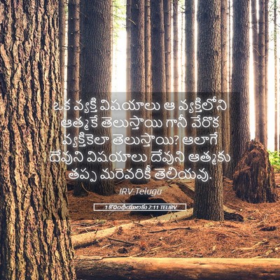 Picture 05 - 1 కొరింథీయులకు 2:11 TELIRV - ఒక వ్యక్తి - Bible Verse Picture
