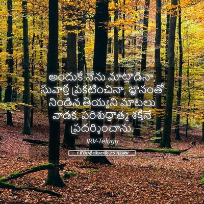 Picture 05 - 1 కొరింథీయులకు 2:5 TELIRV - అందుకే నేను - Bible Verse Picture