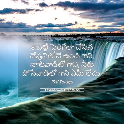Picture 05 - 1 కొరింథీయులకు 3:7 TELIRV - కాబట్టి పెరిగేలా - Bible Verse Picture