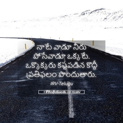 Picture 05 - 1 కొరింథీయులకు 3:8 TELIRV - నాటే వాడూ నీరు - Bible Verse Picture