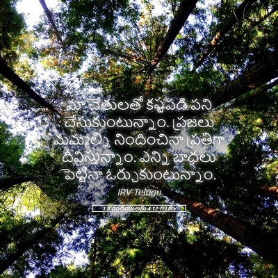 Picture 05 - 1 కొరింథీయులకు 4:12 TELIRV - మా చేతులతో - Bible Verse Picture