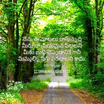 Picture 05 - 1 కొరింథీయులకు 4:14 TELIRV - నేను ఈ మాటలు - Bible Verse Picture