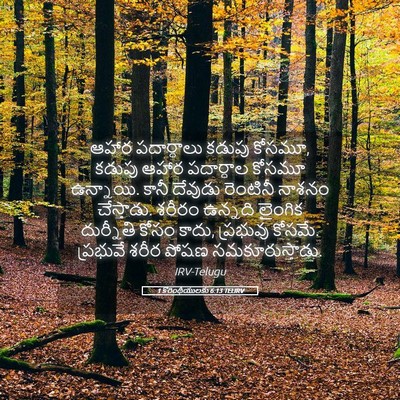 Picture 05 - 1 కొరింథీయులకు 6:13 TELIRV - ఆహార పదార్ధాలు - Bible Verse Picture