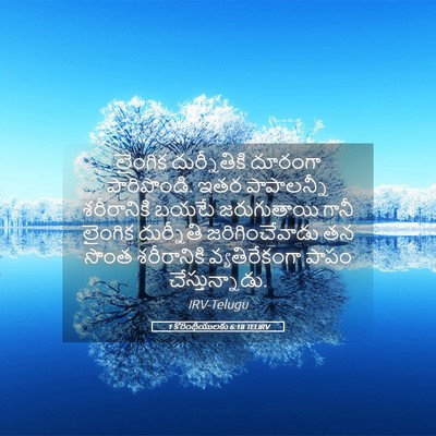 Picture 05 - 1 కొరింథీయులకు 6:18 TELIRV - లైంగిక దుర్నీతికి - Bible Verse Picture