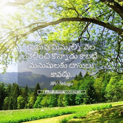 Picture 05 - 1 కొరింథీయులకు 7:23 TELIRV - ప్రభువు మిమ్మల్ని - Bible Verse Picture