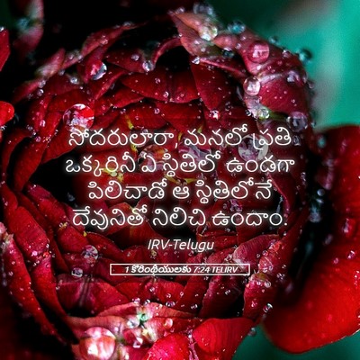 Picture 05 - 1 కొరింథీయులకు 7:24 TELIRV - సోదరులారా, మనలో - Bible Verse Picture