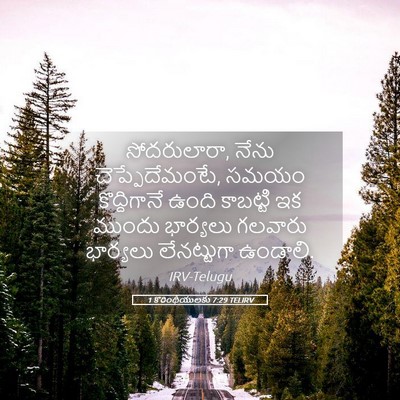 Picture 05 - 1 కొరింథీయులకు 7:29 TELIRV - సోదరులారా, నేను - Bible Verse Picture