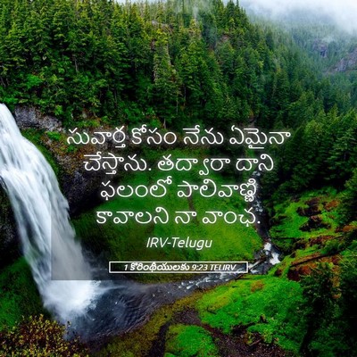Picture 05 - 1 కొరింథీయులకు 9:23 TELIRV - సువార్త కోసం నేను - Bible Verse Picture